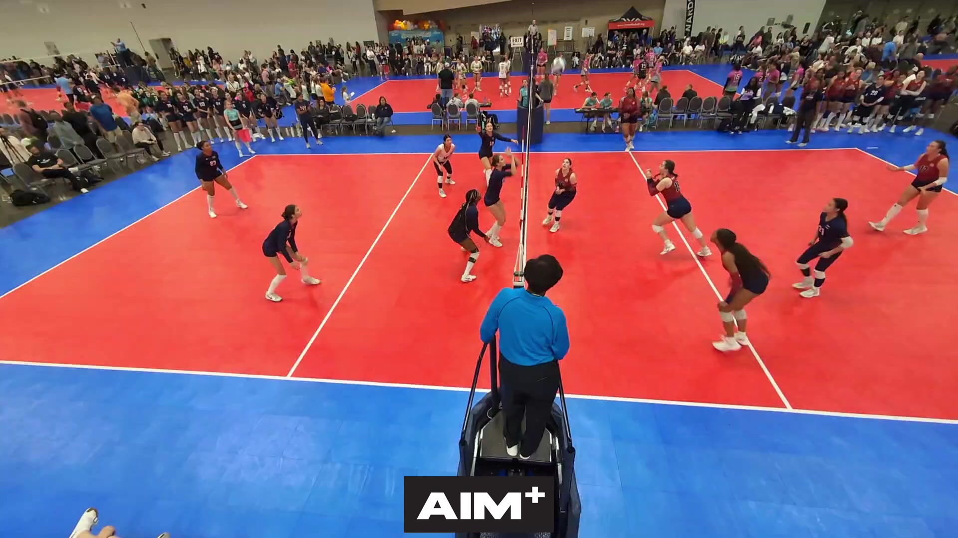 dig