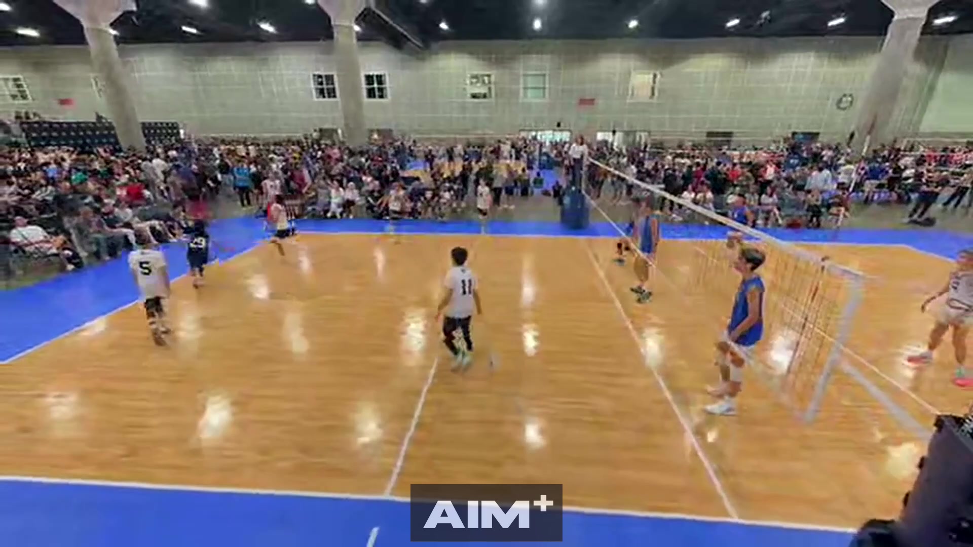 assist