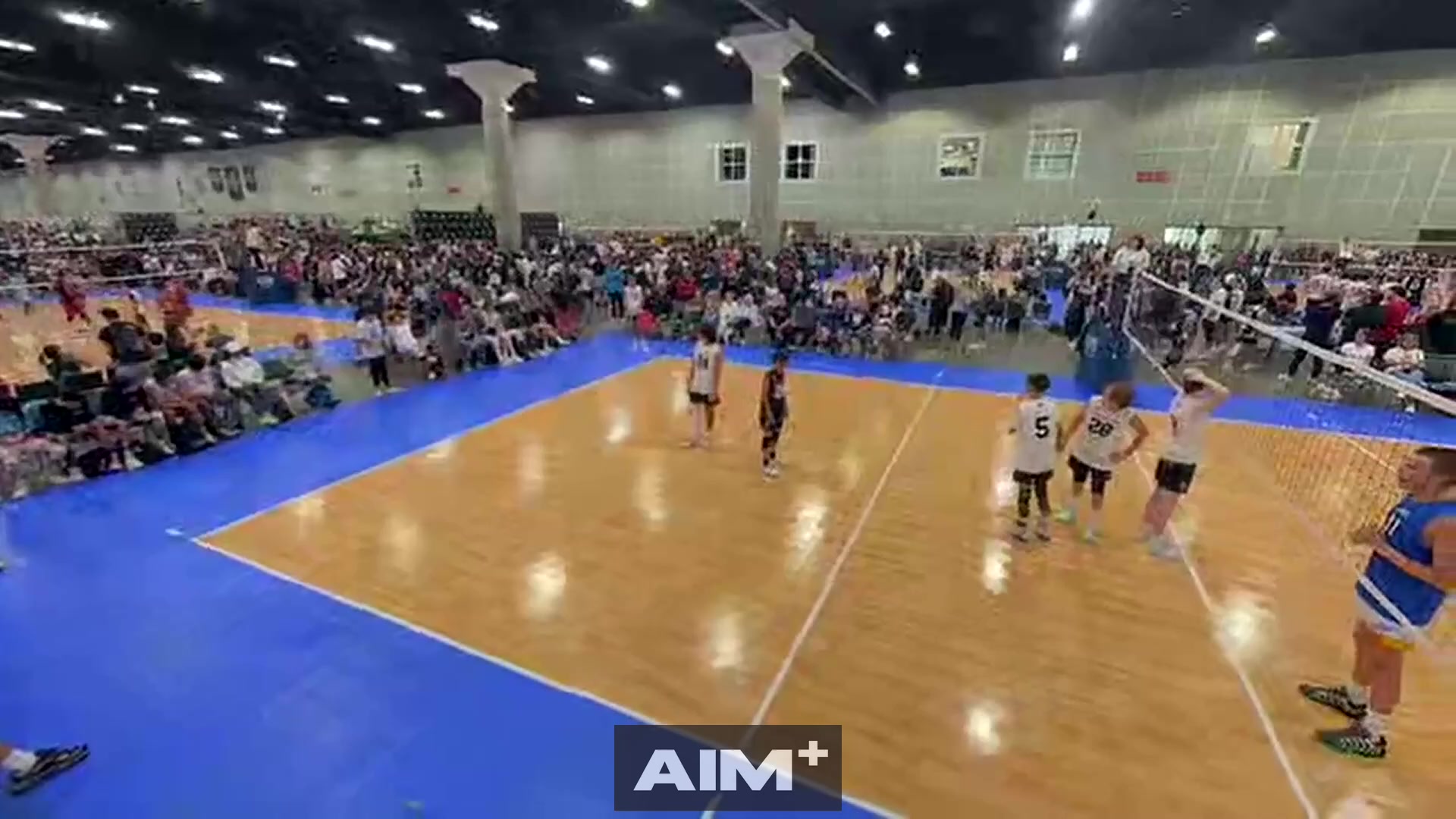 assist
