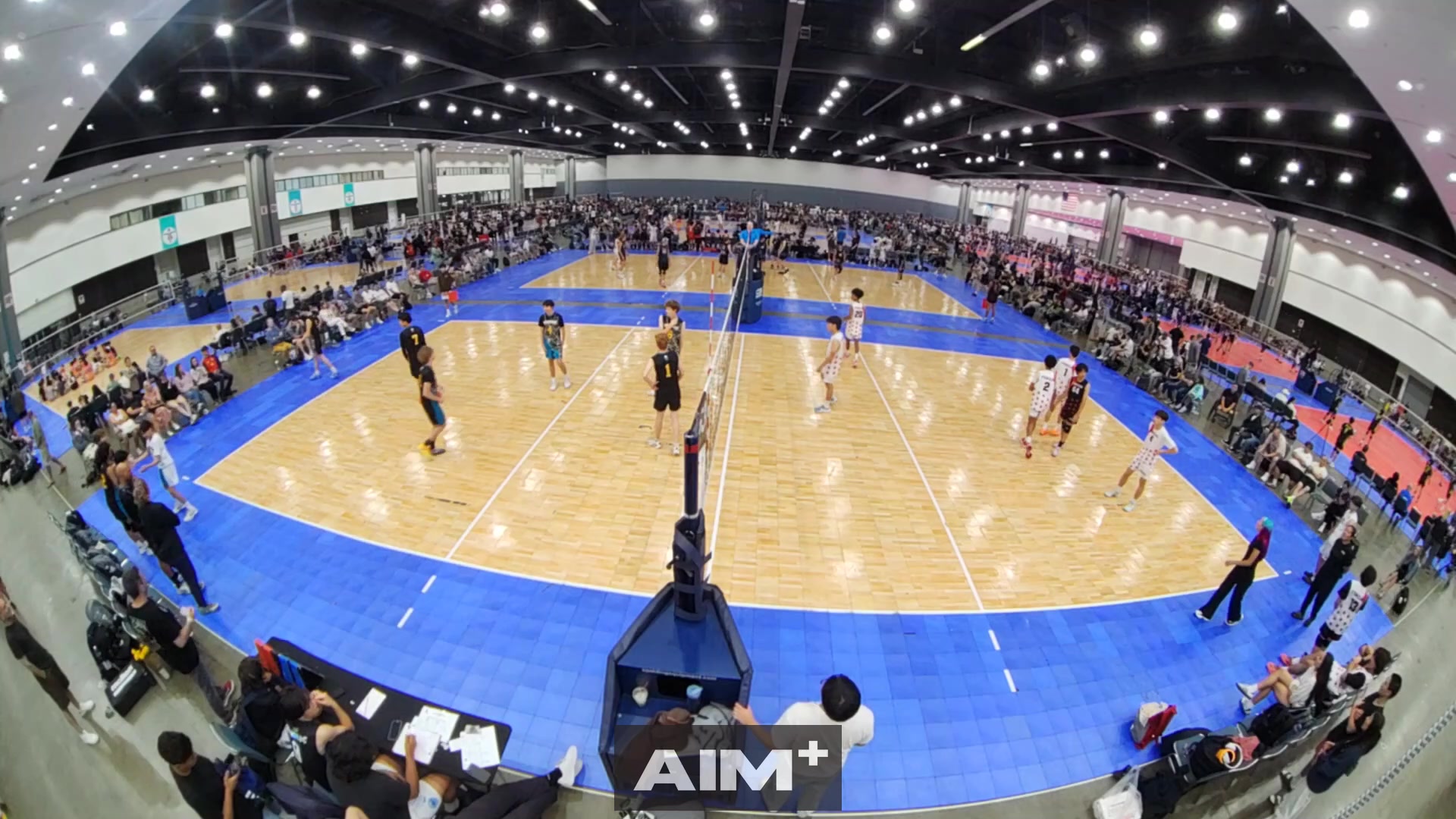 serve-ace