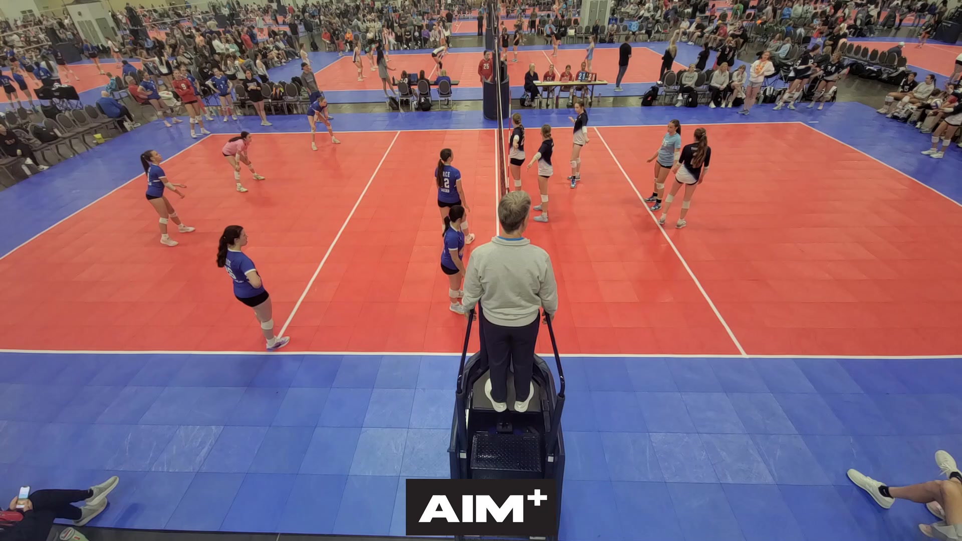dig