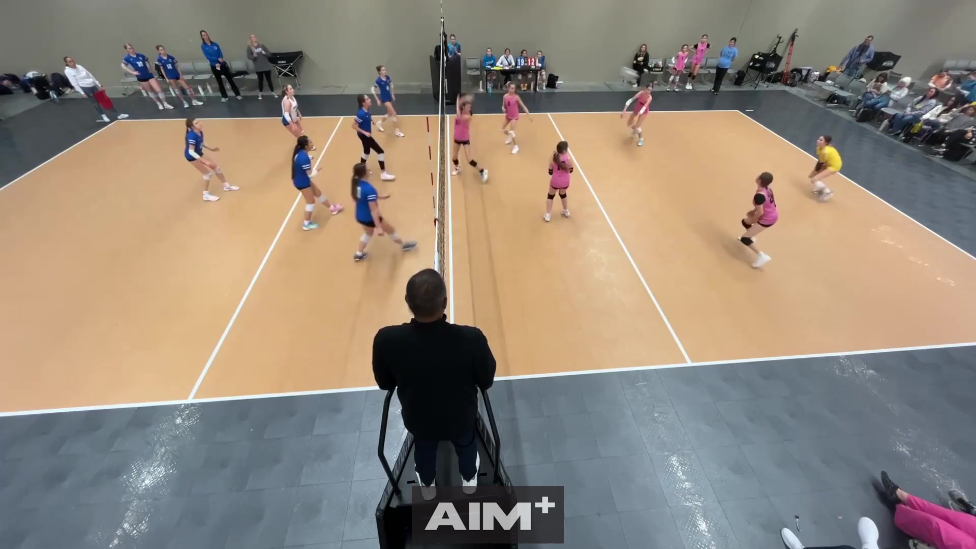 assist