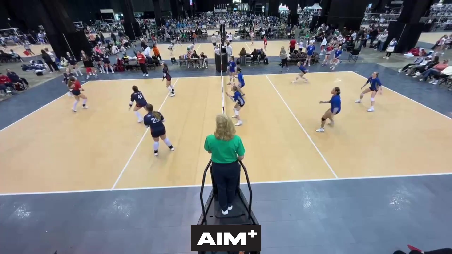 dig