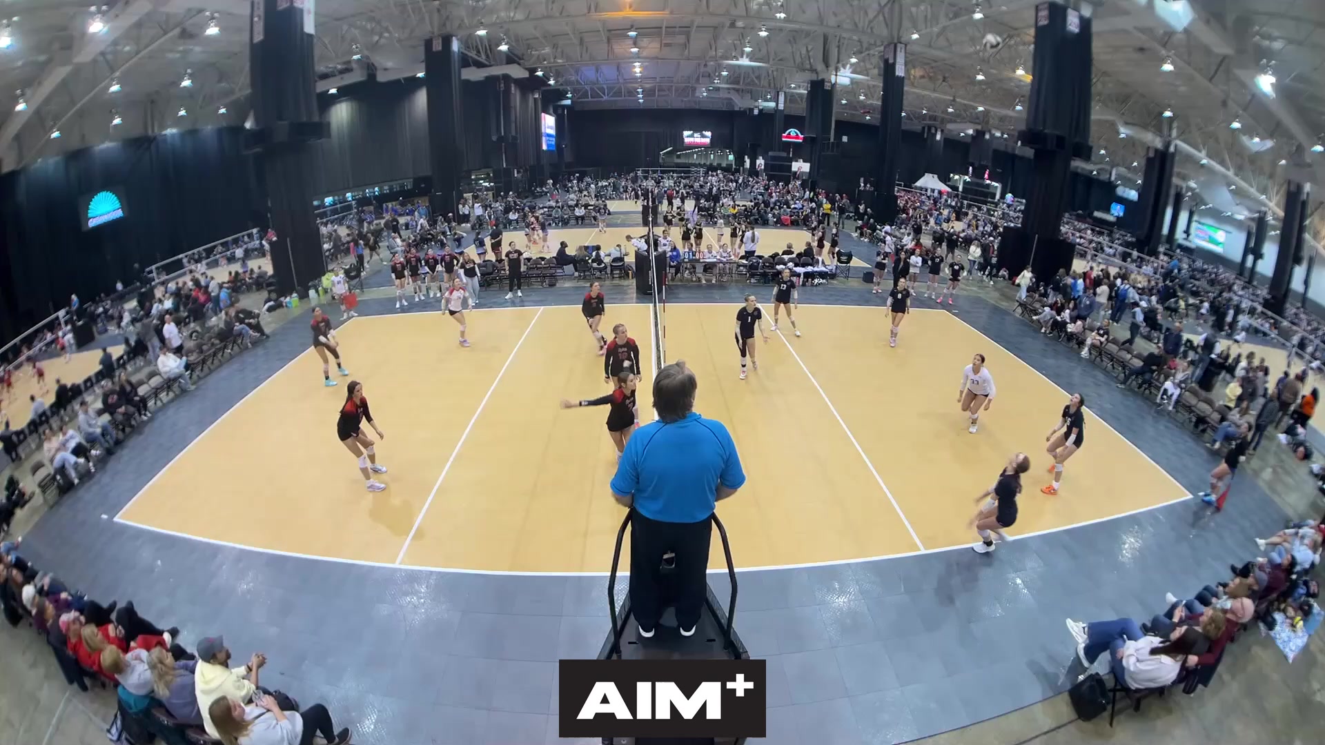 dig