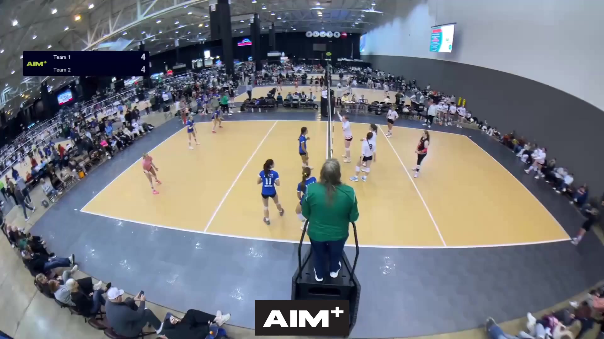 assist