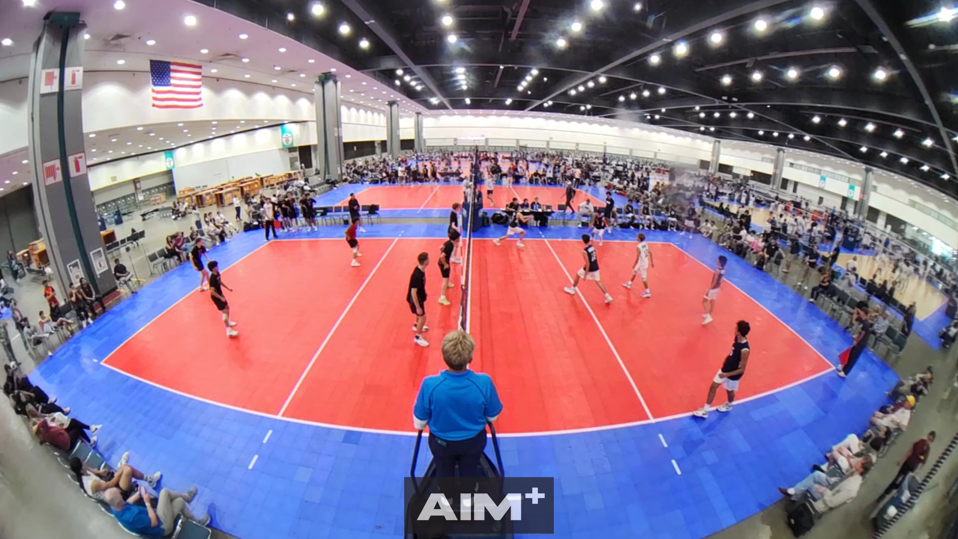 dig