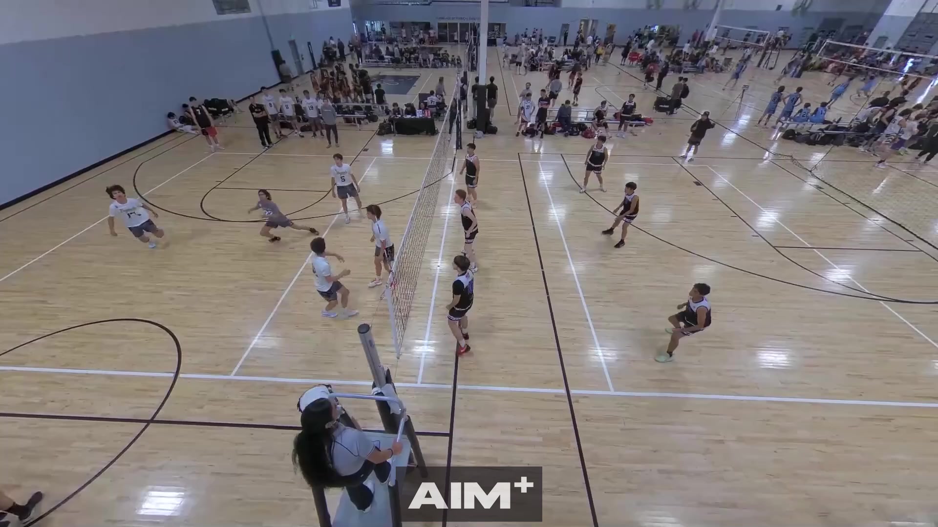 assist