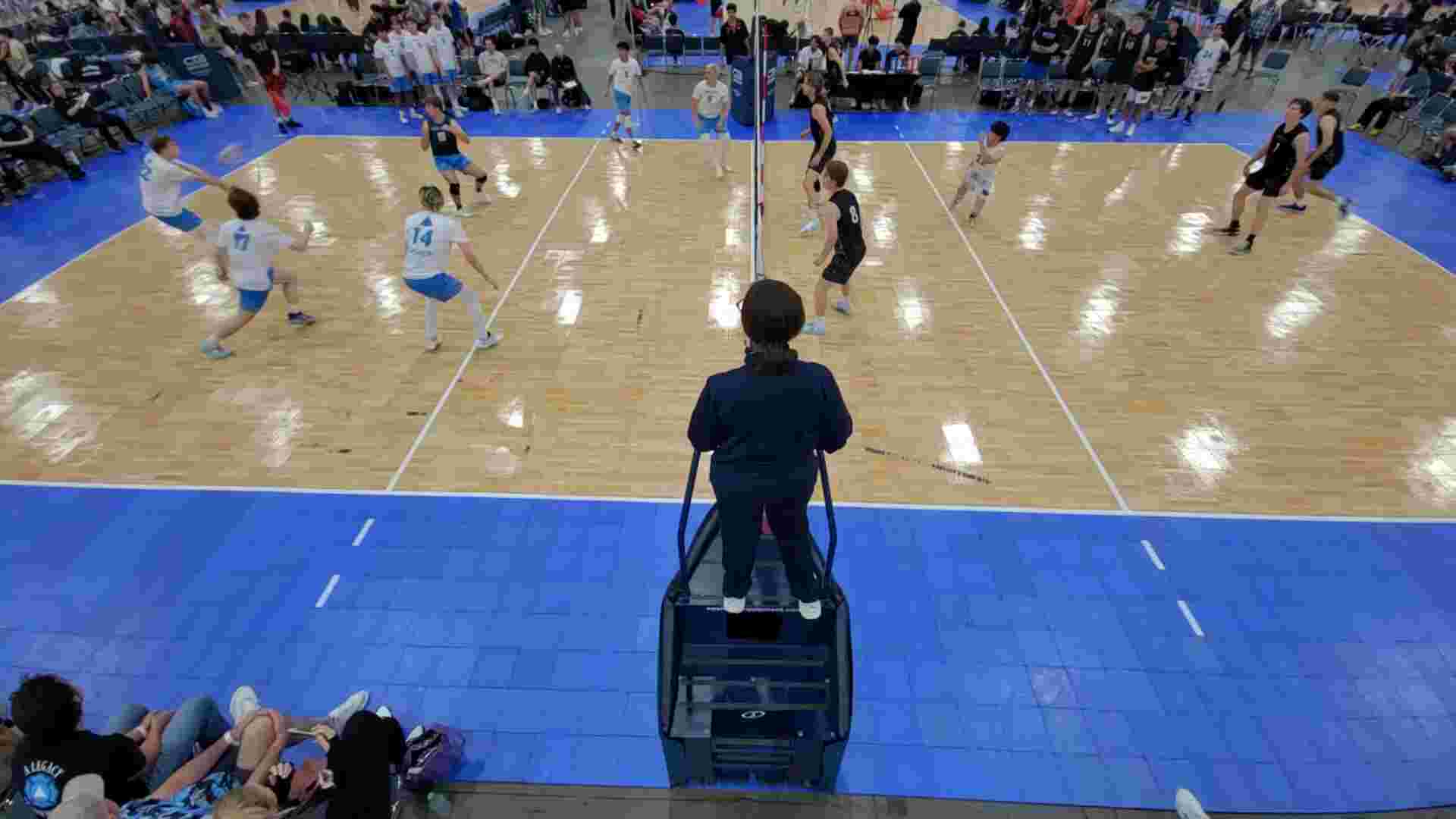 dig