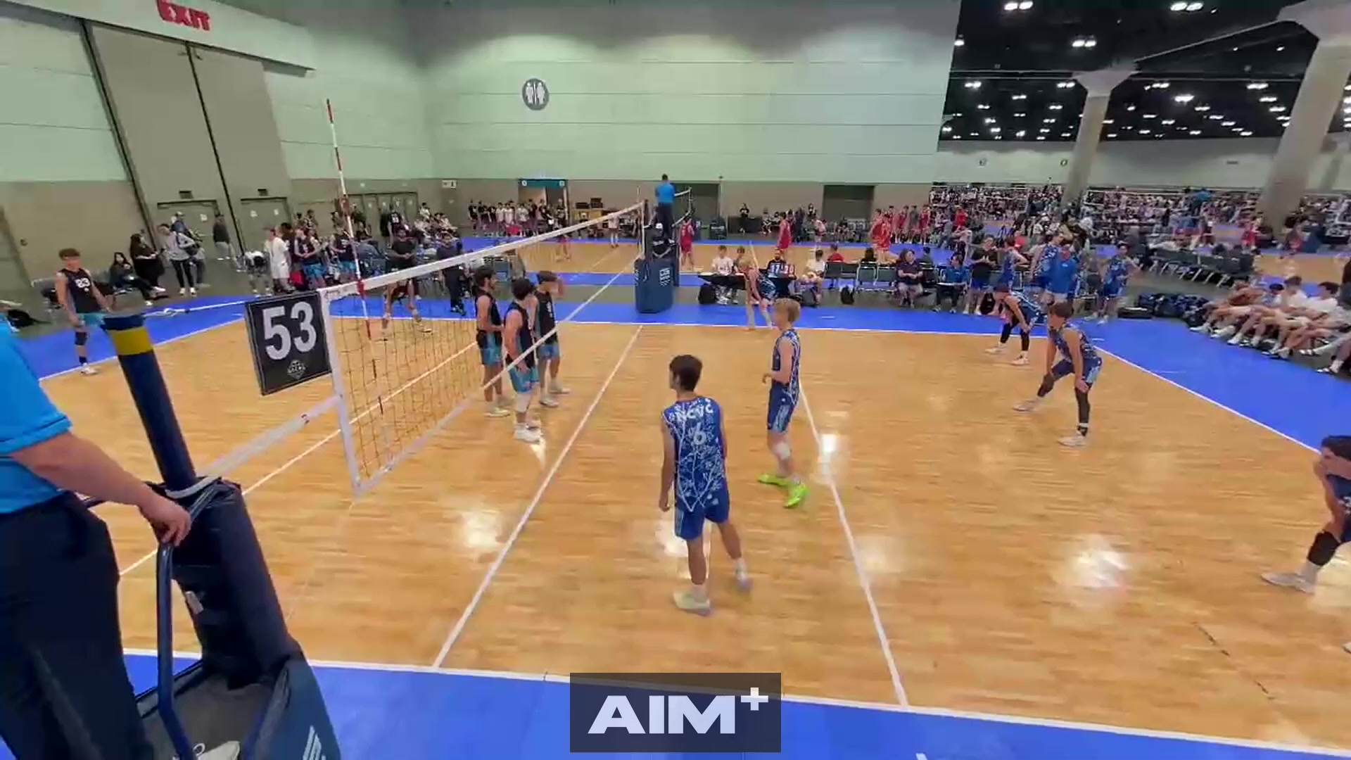 assist