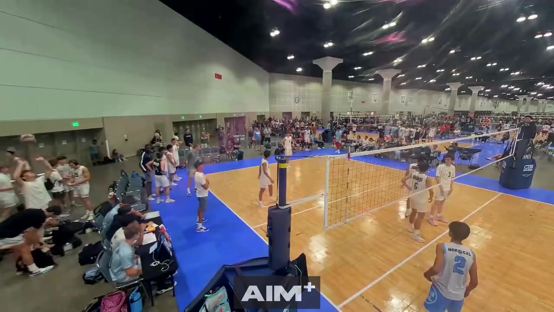 assist