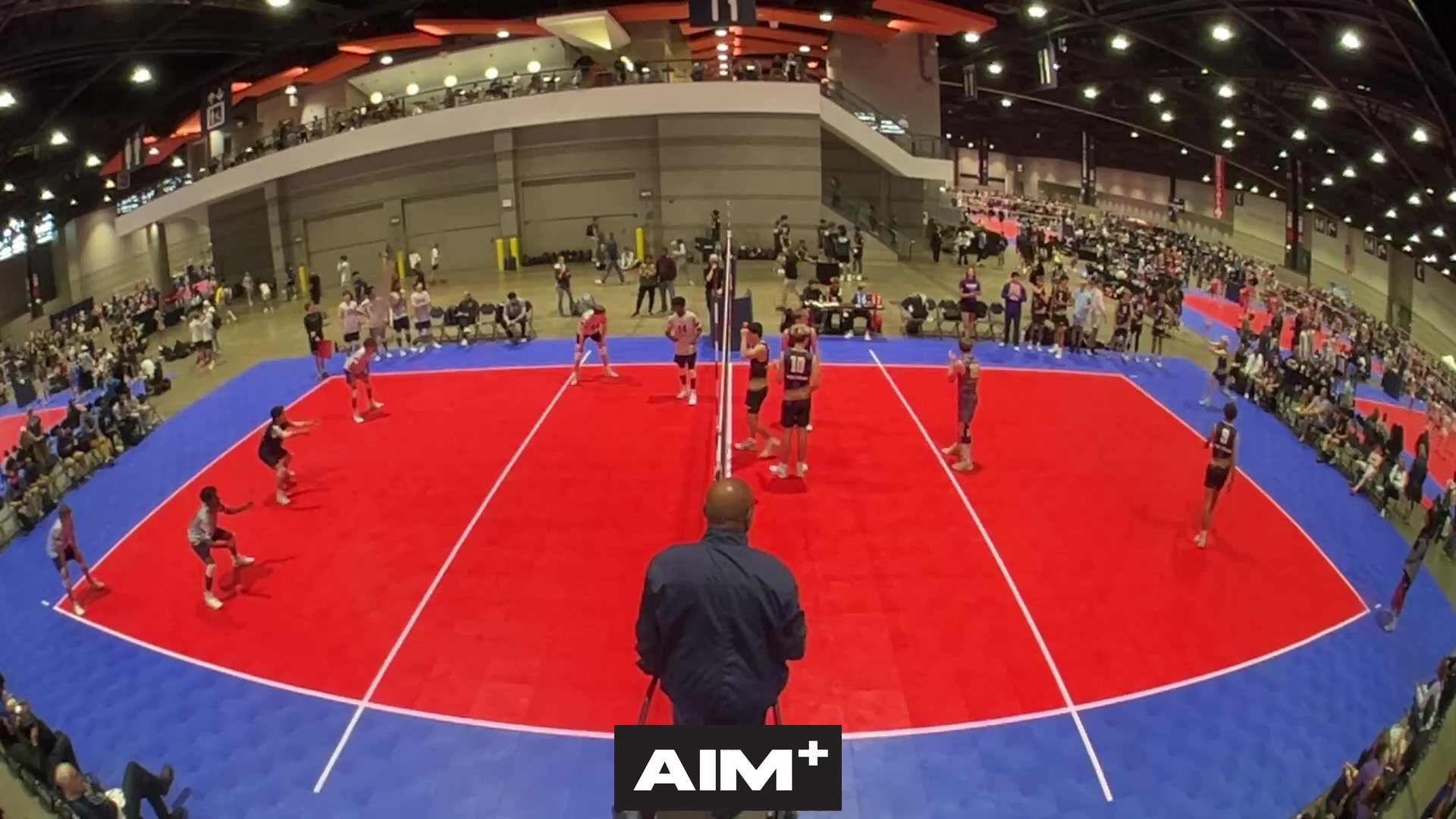 assist