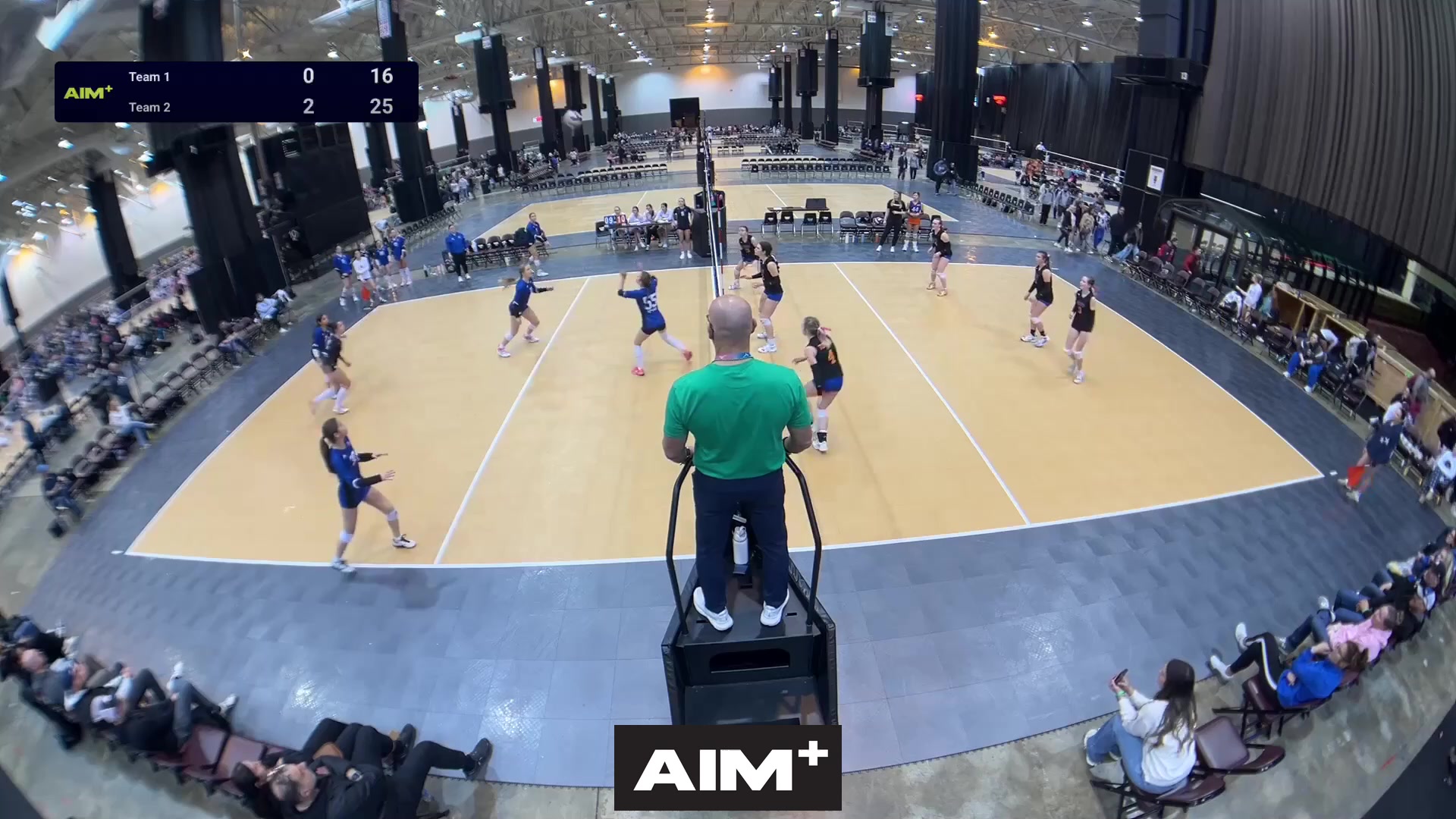 dig