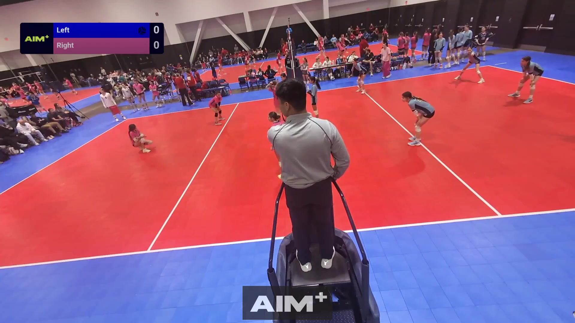 assist