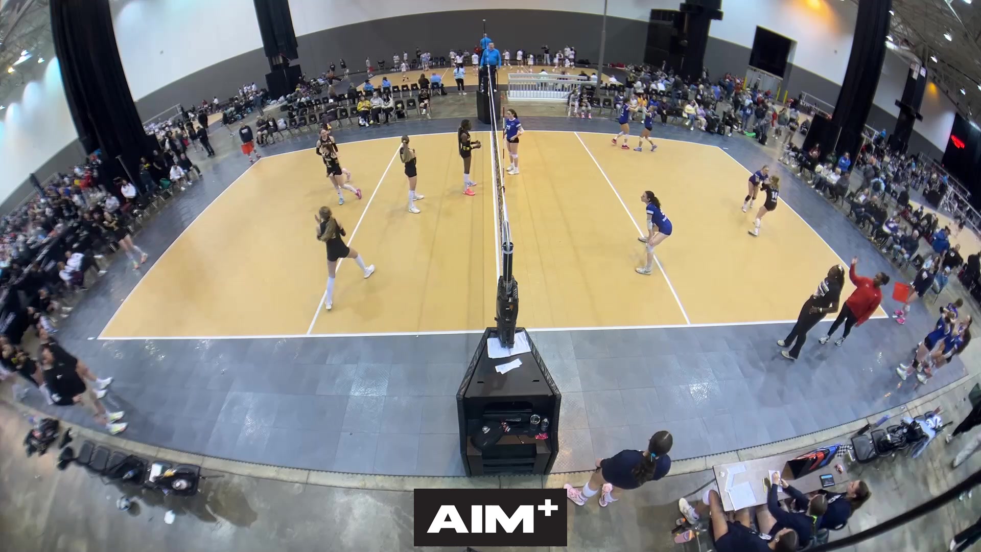 serve-ace