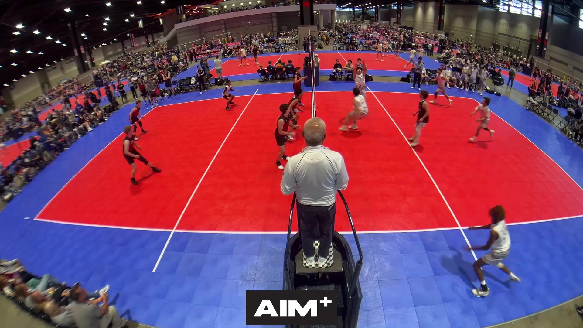 dig