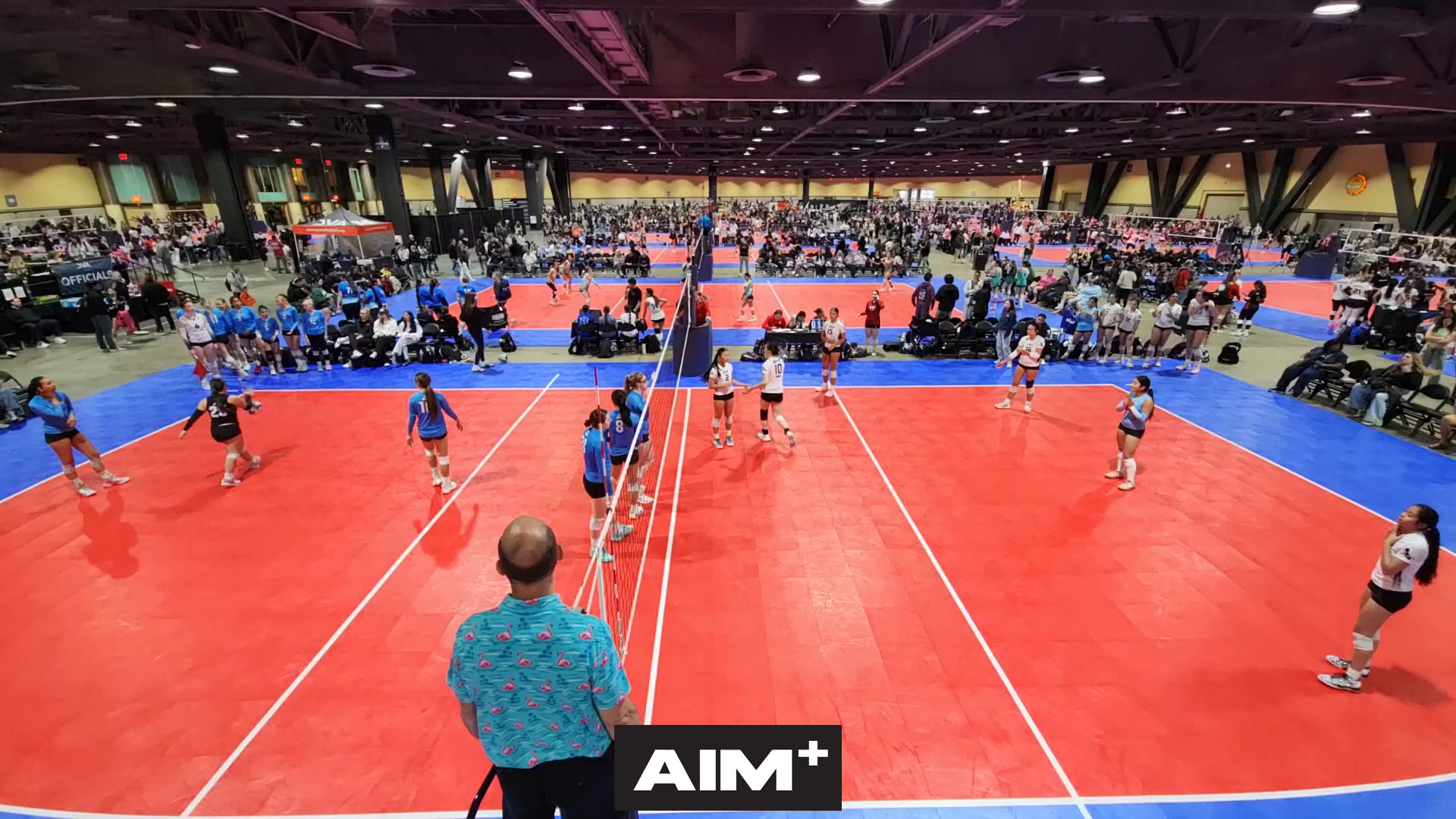 serve