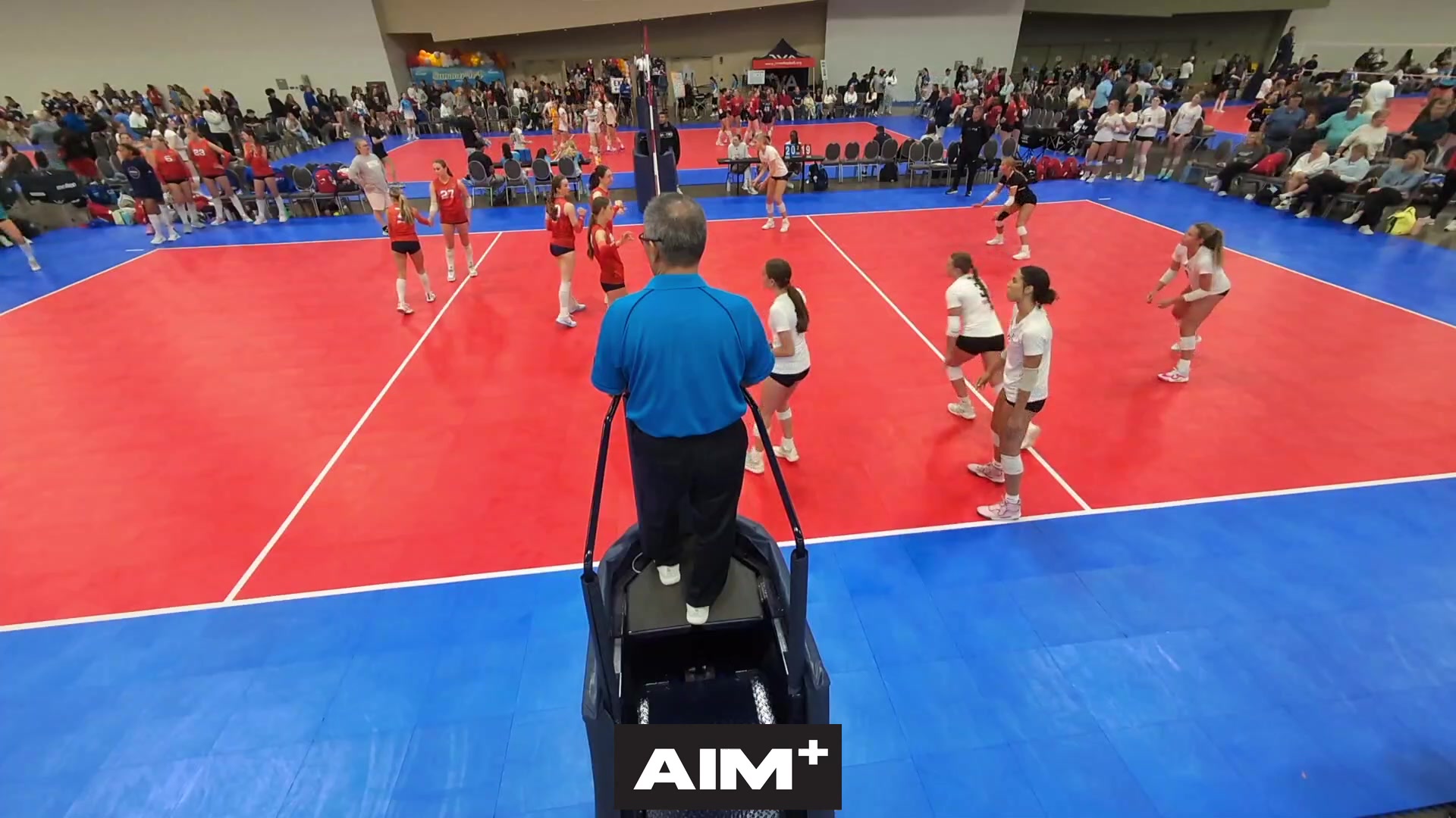 dig