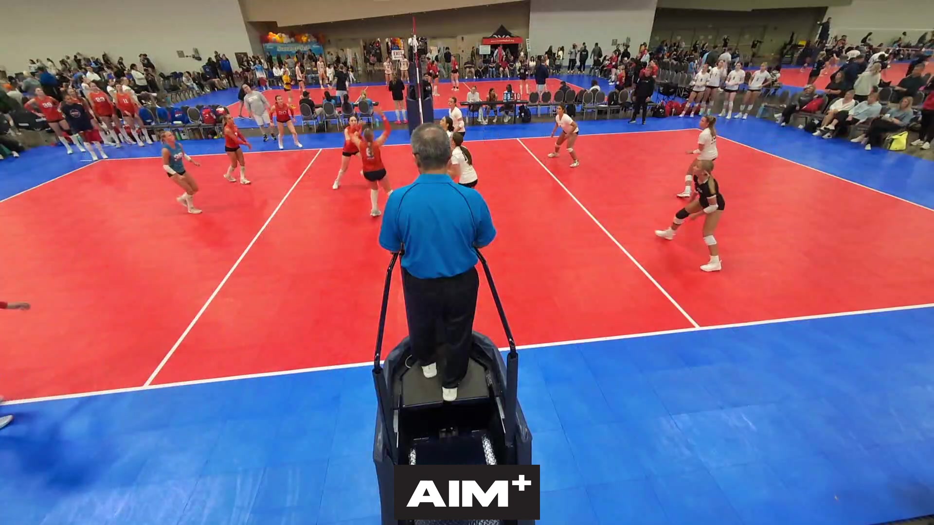 dig