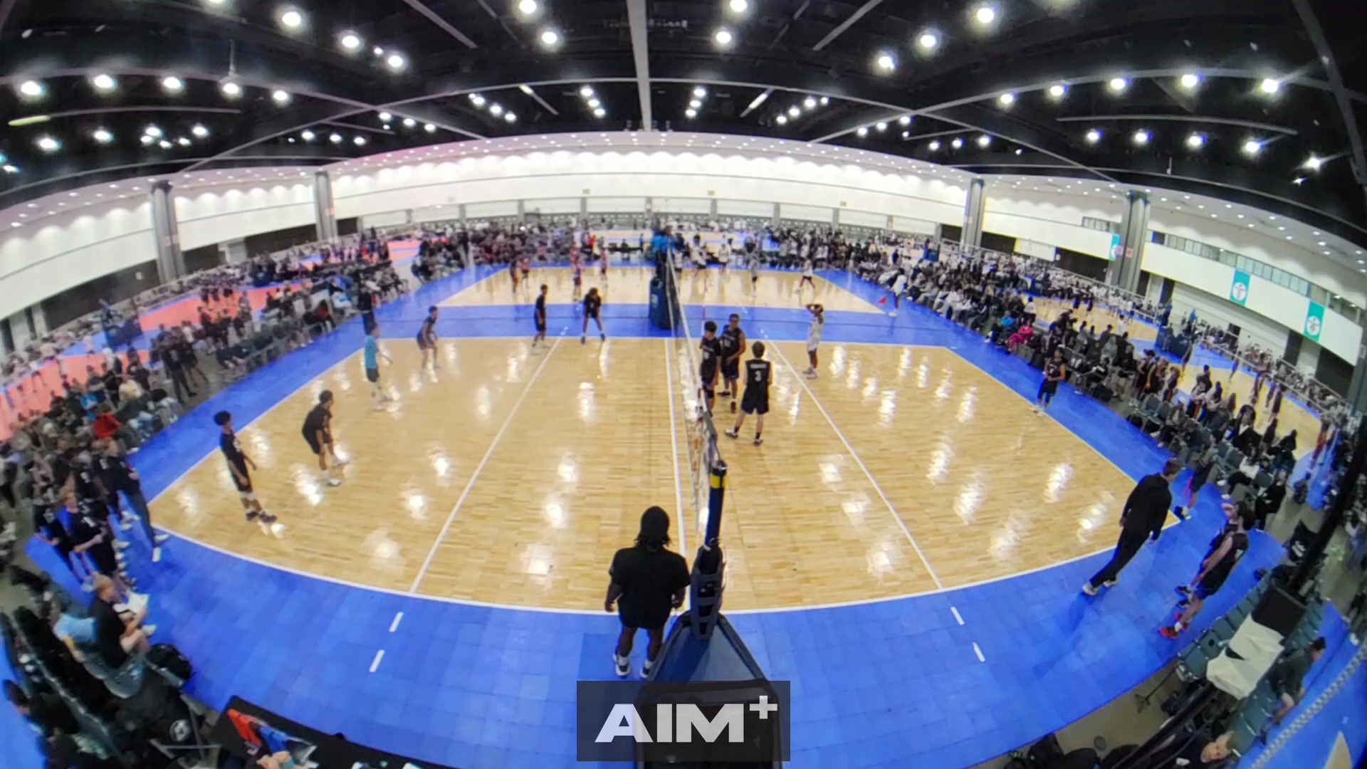 dig