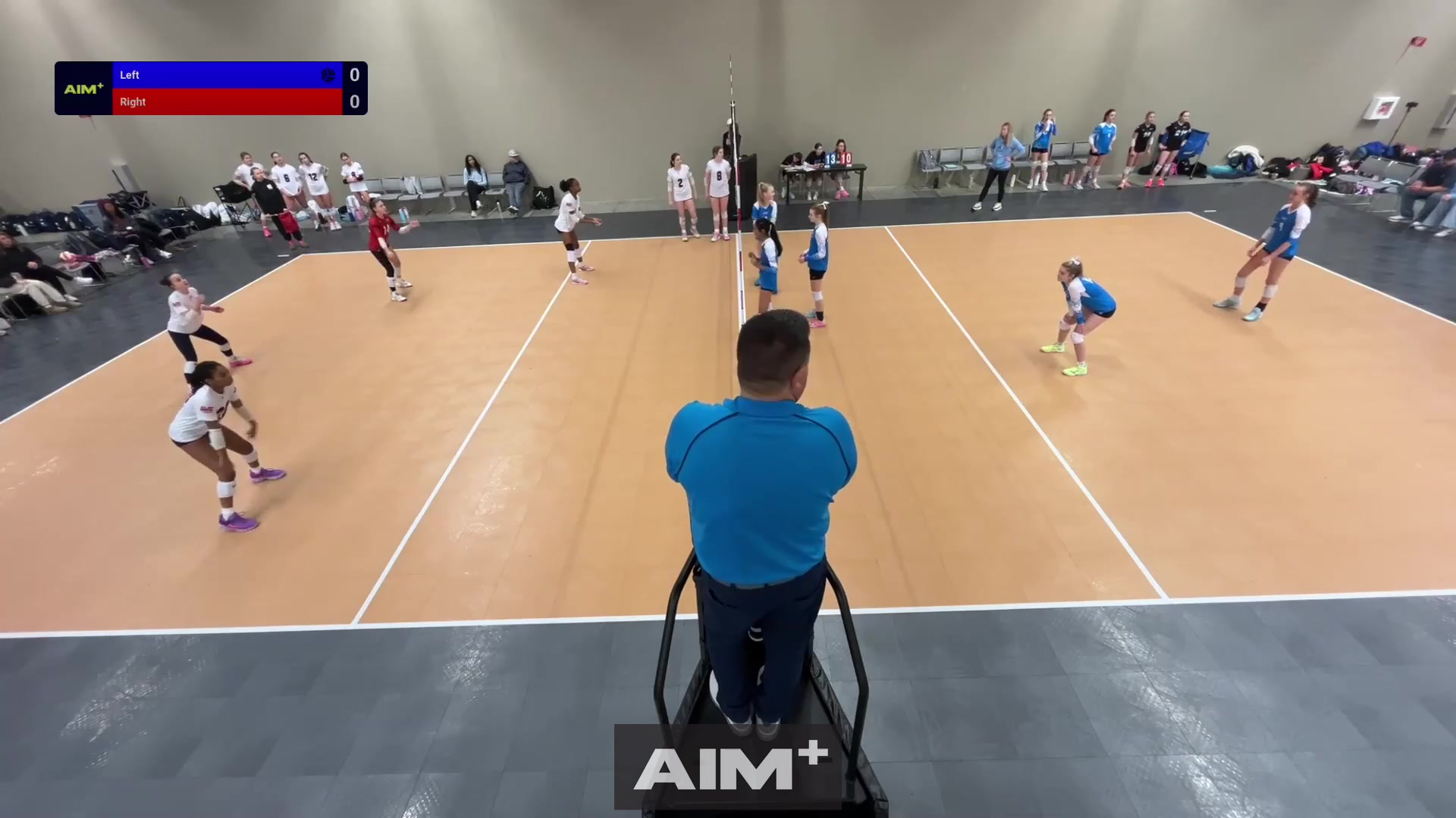 assist