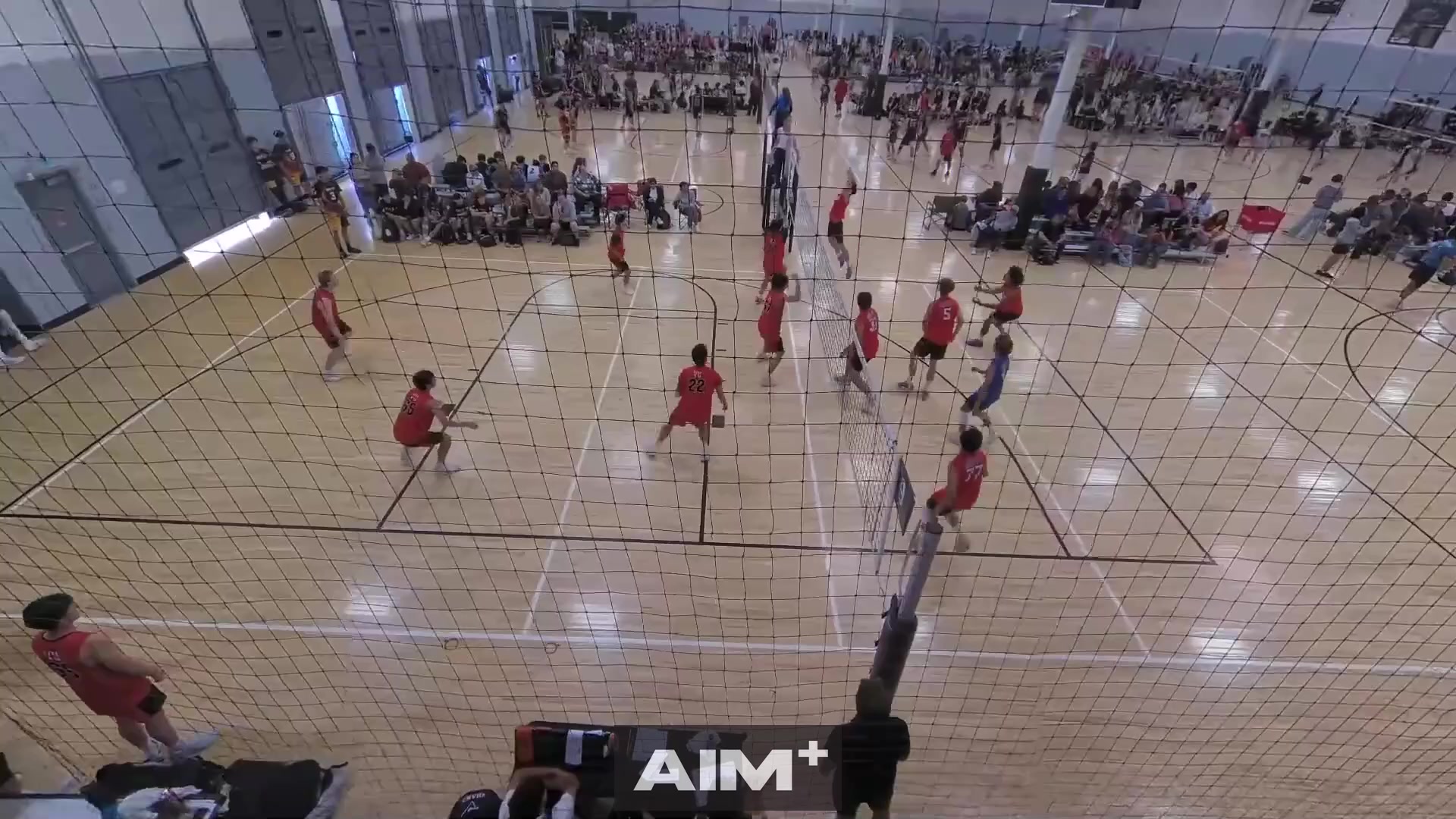 assist