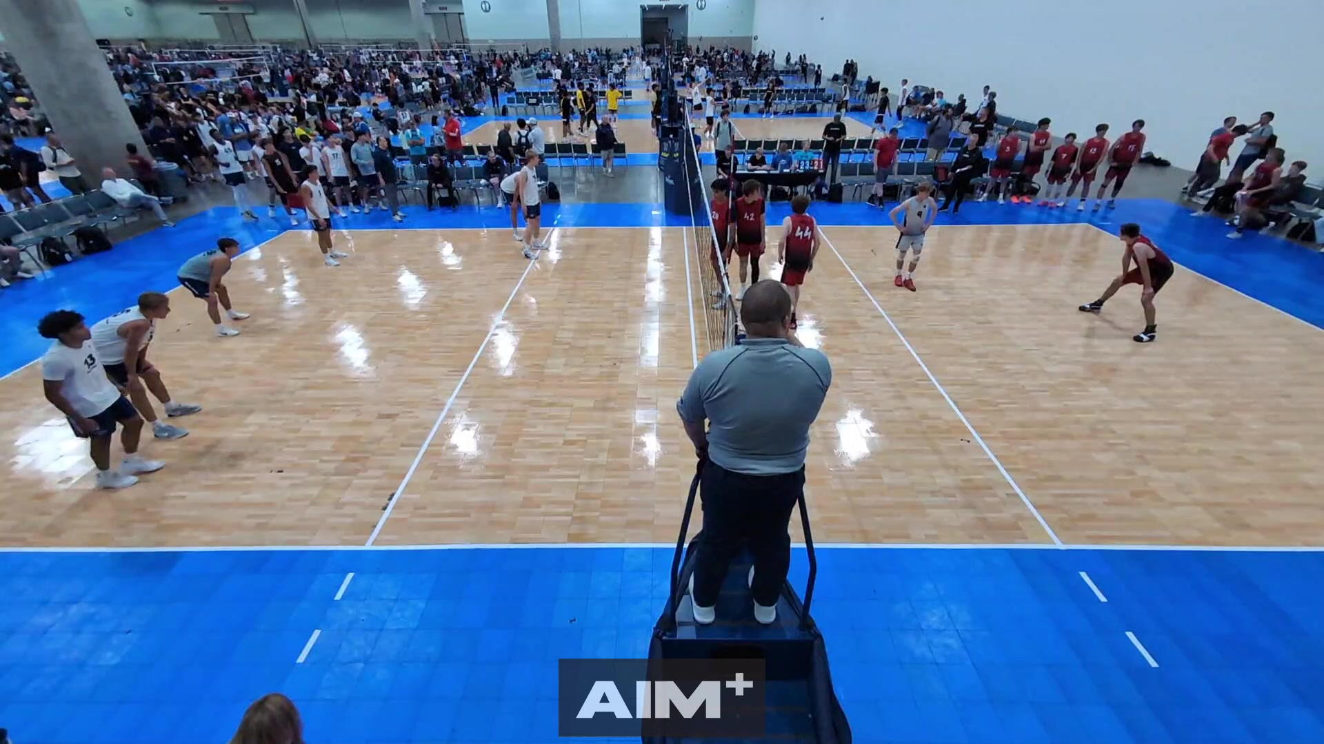 assist