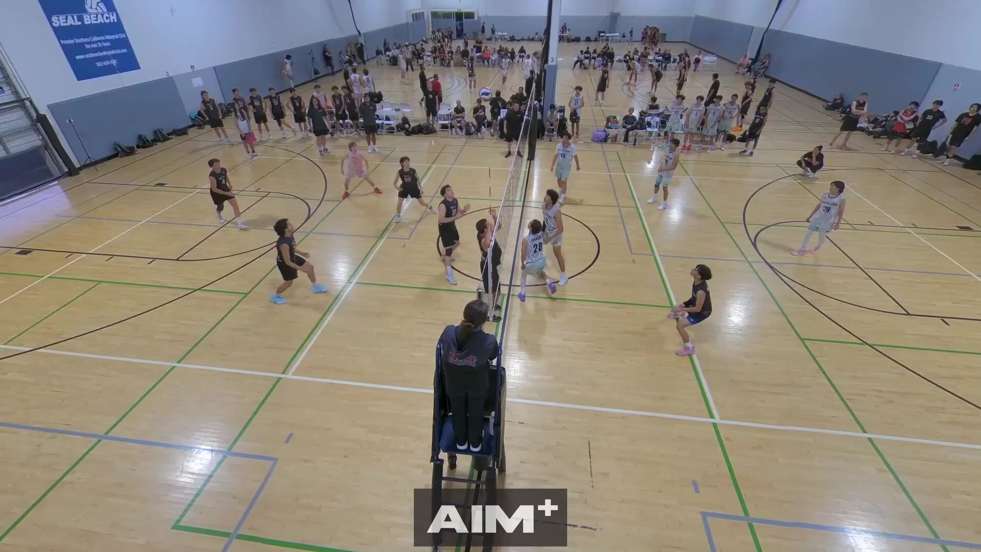 kill