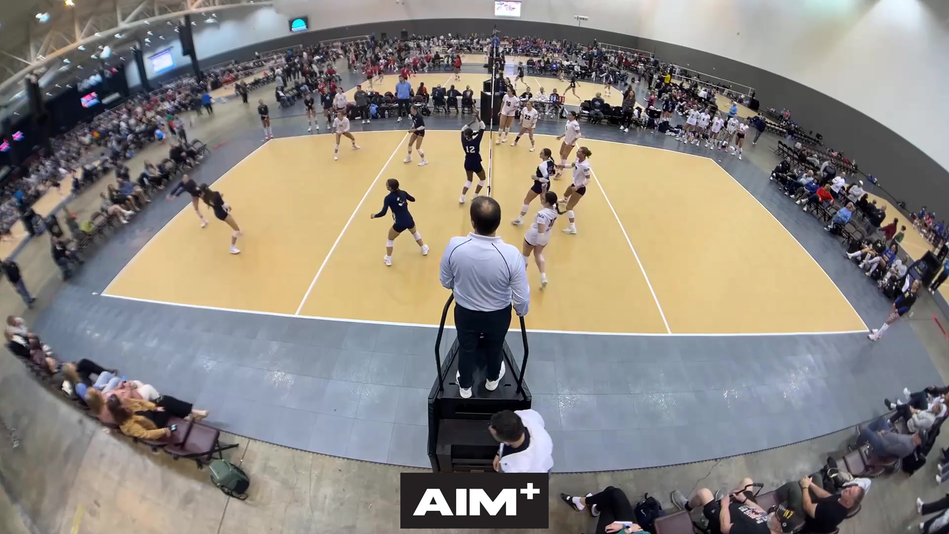 assist