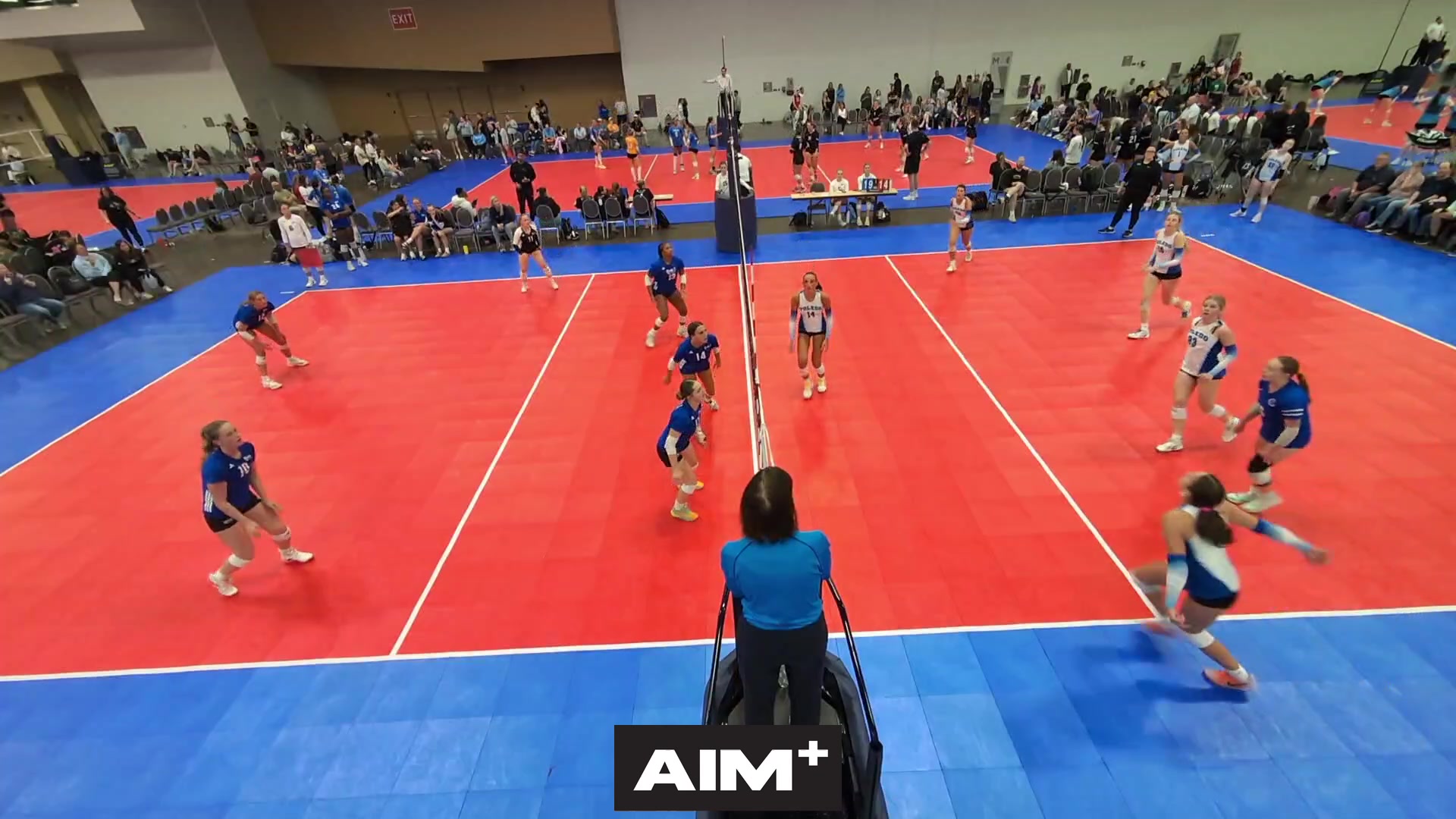 dig