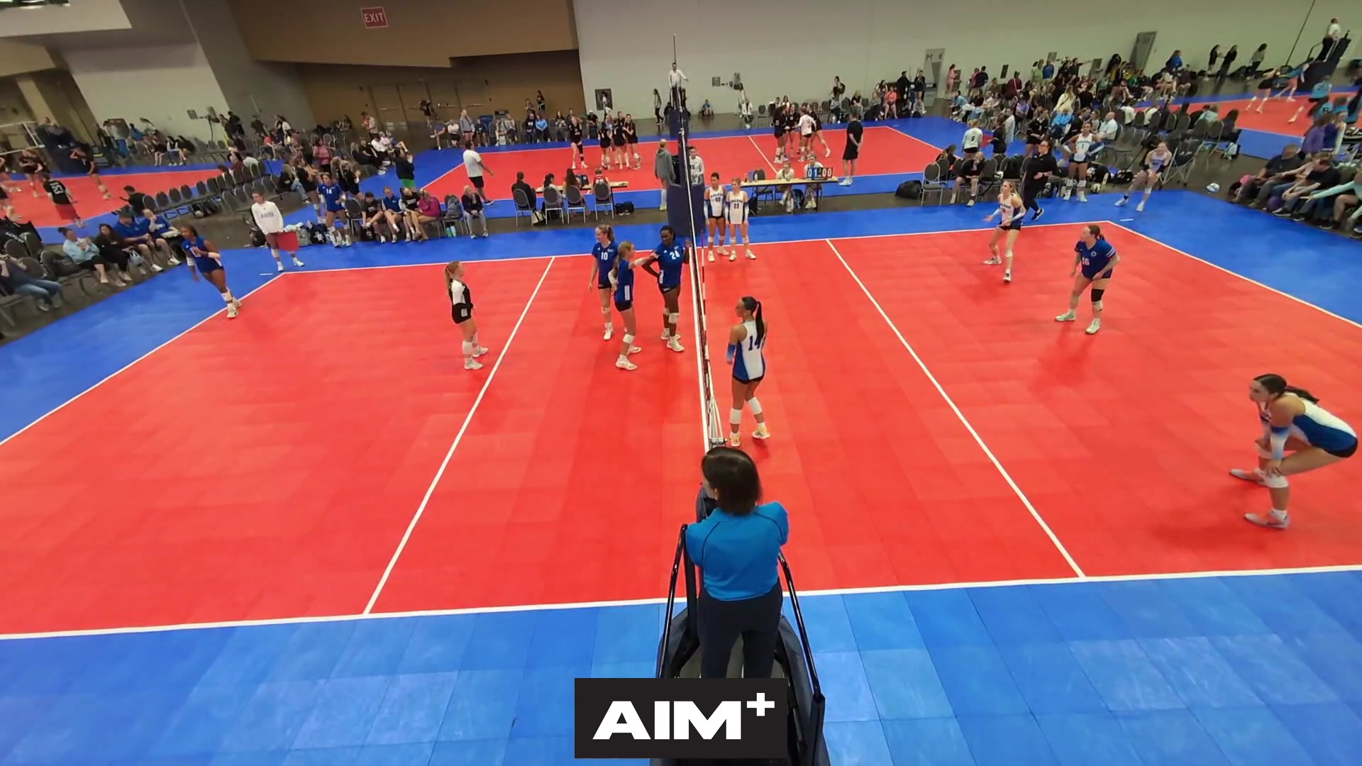 dig