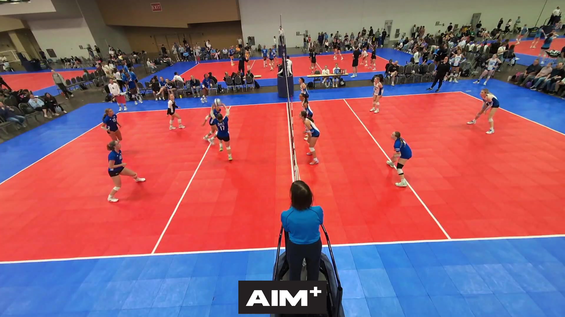 dig