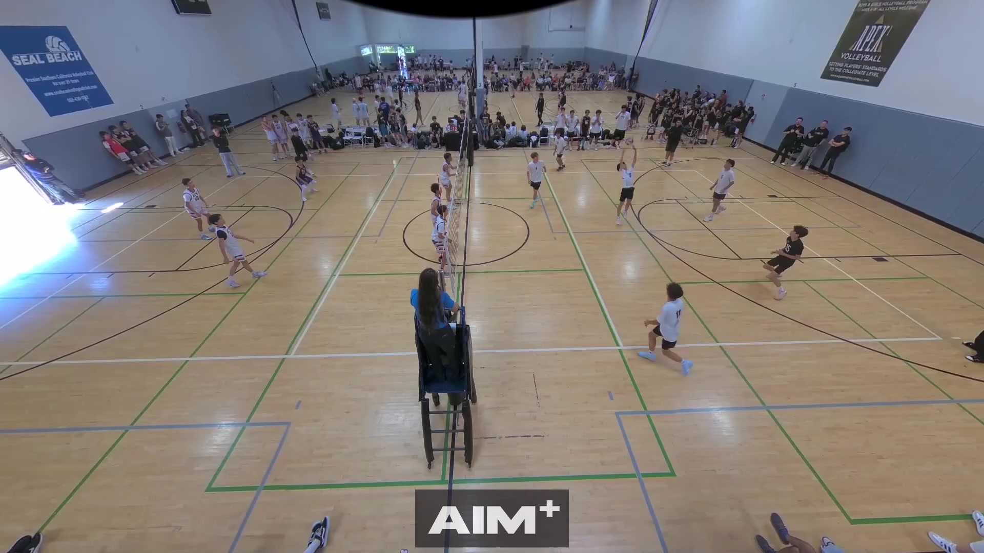 block-assist