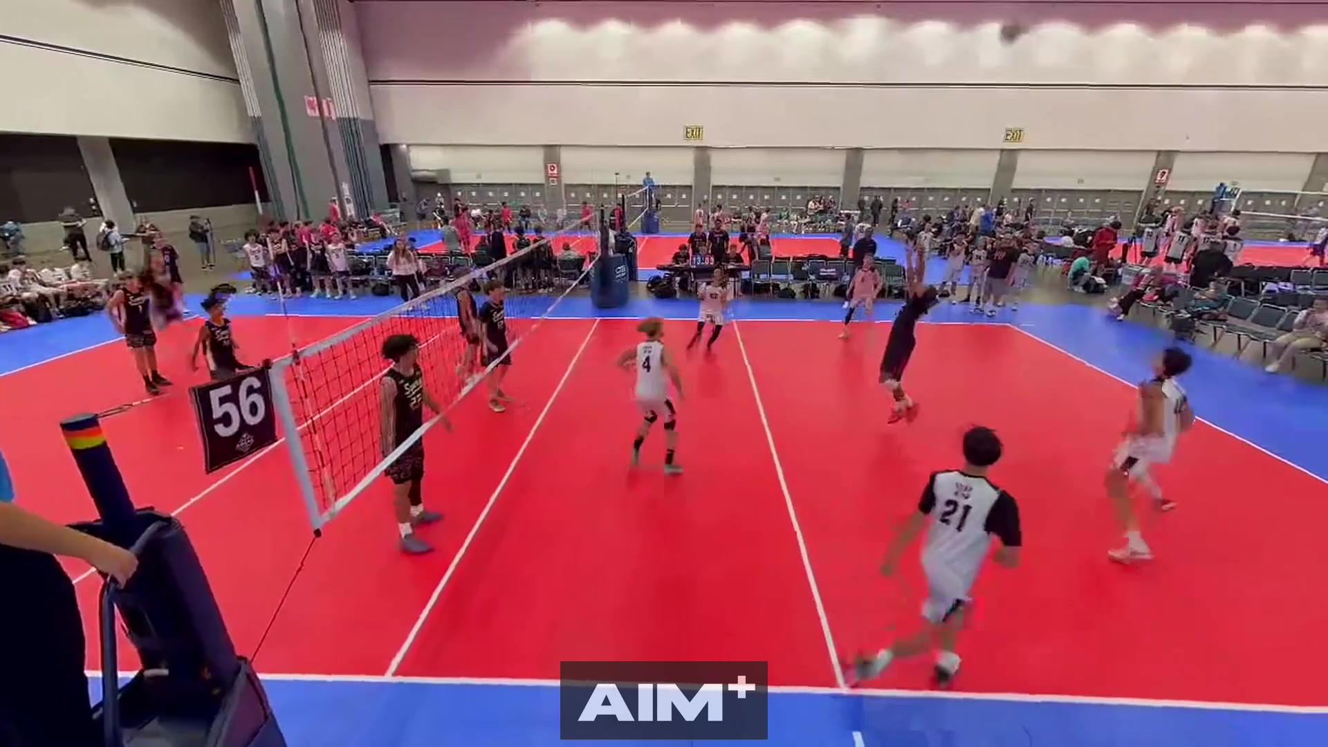 assist