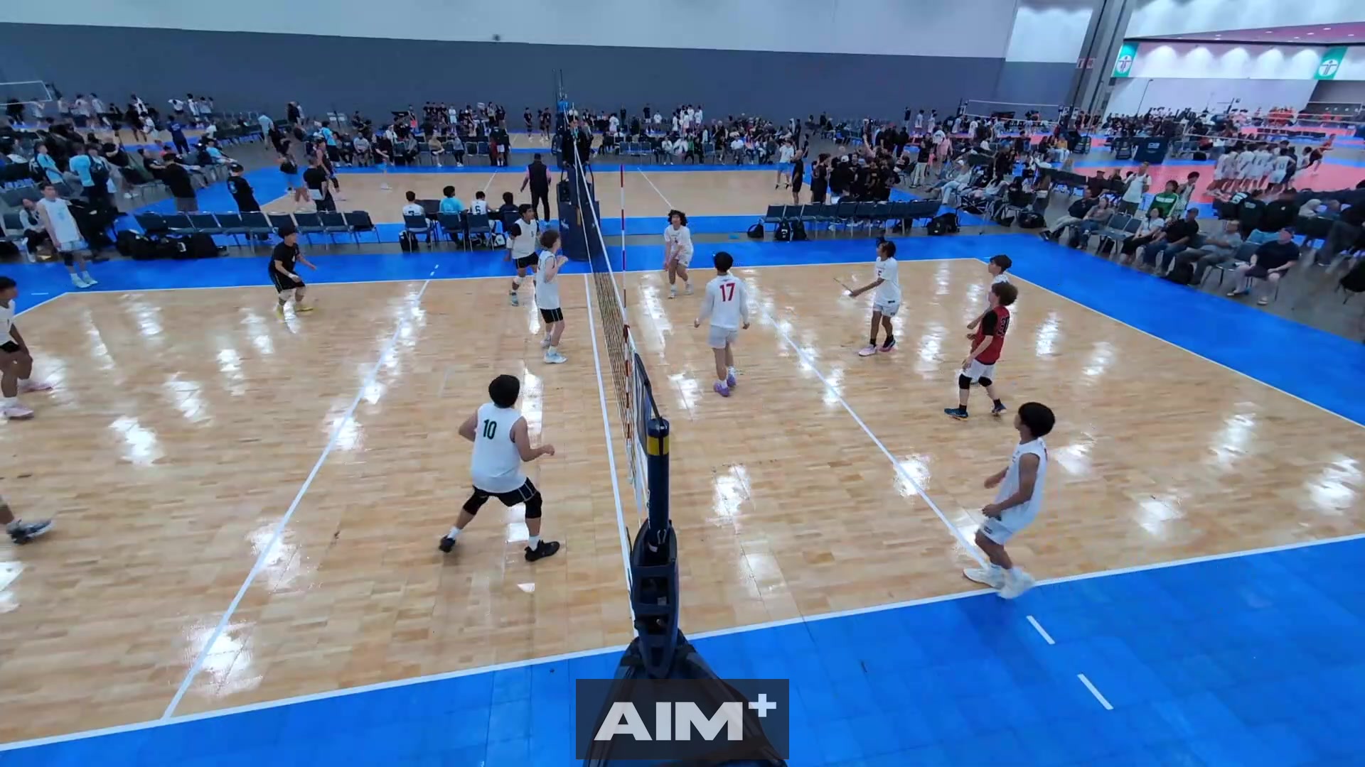 assist