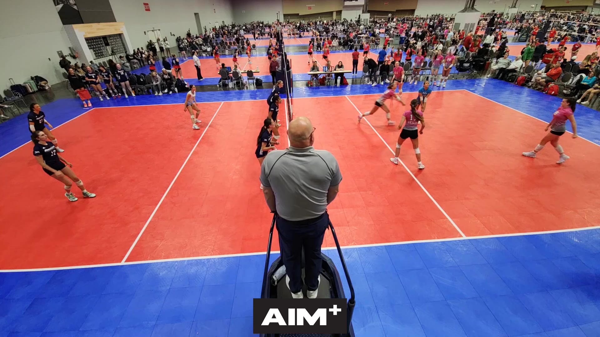 dig