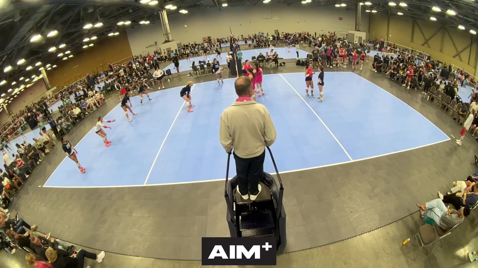 dig
