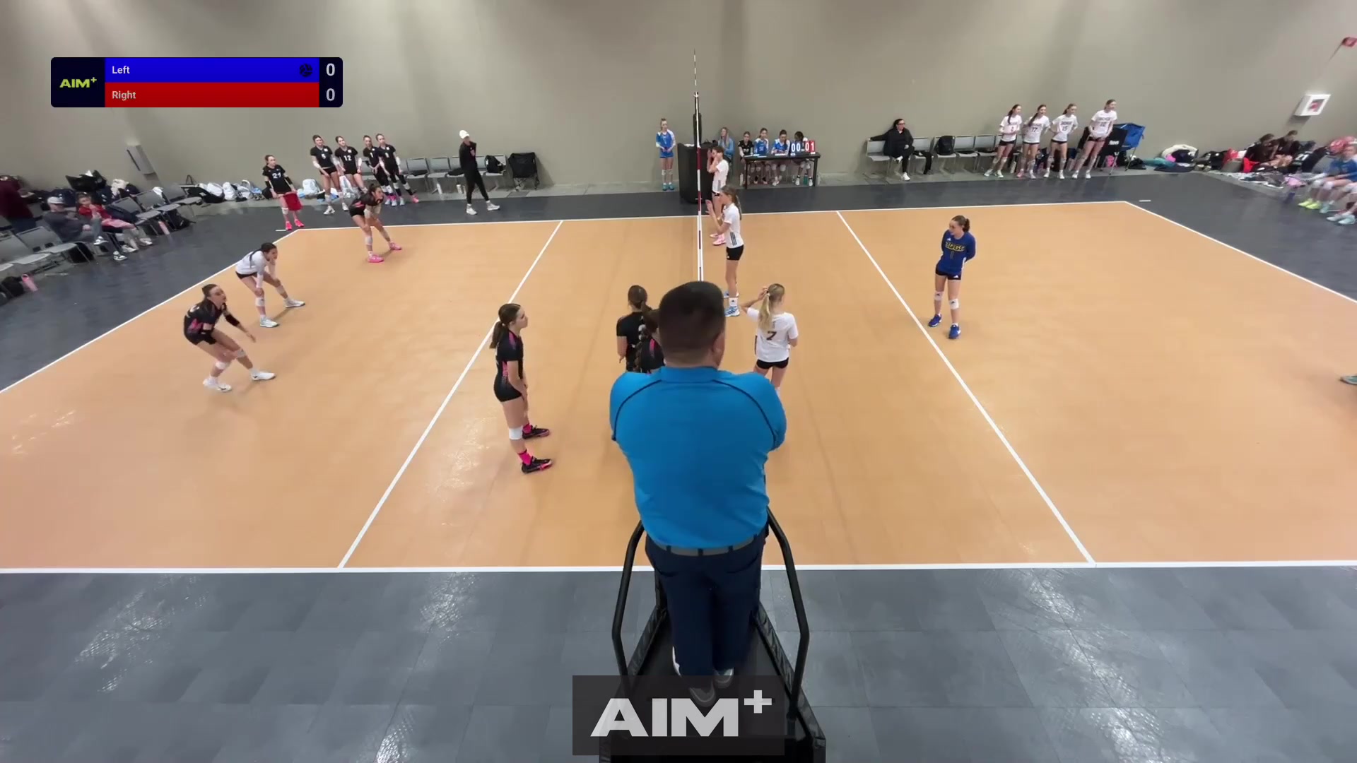 assist