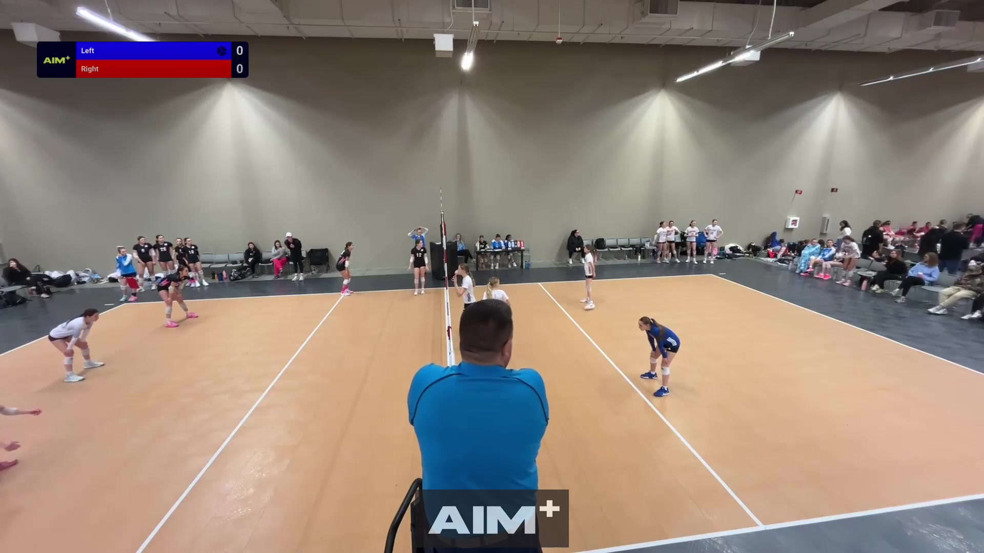 assist