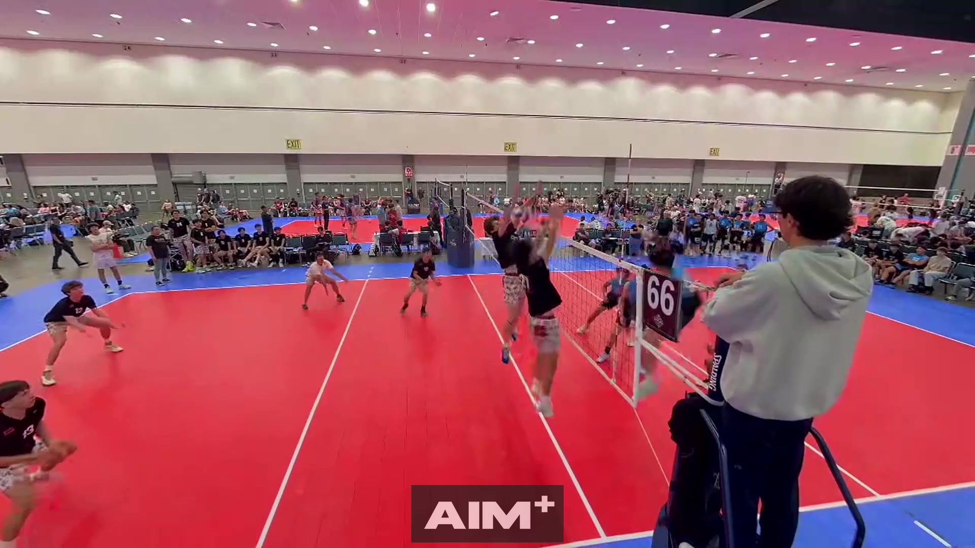 assist