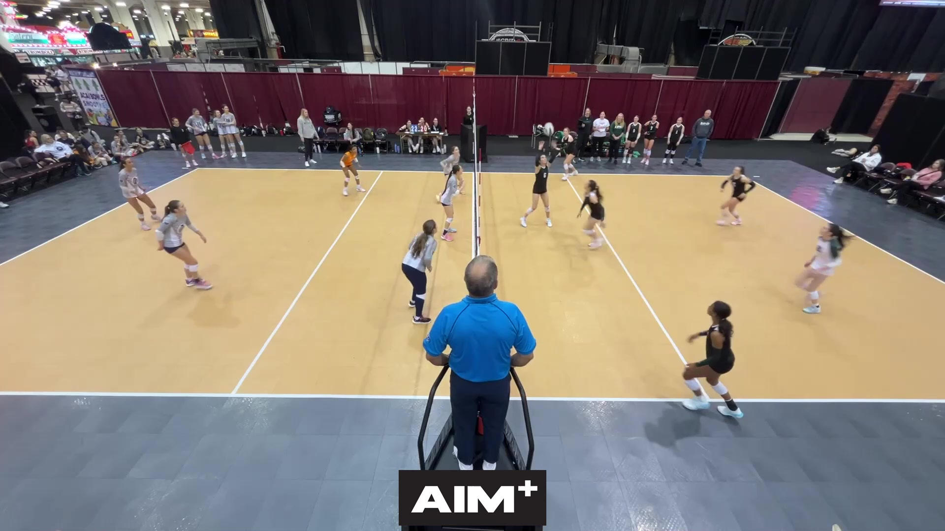 dig