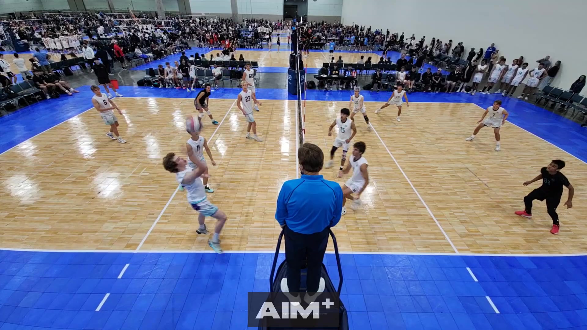 assist