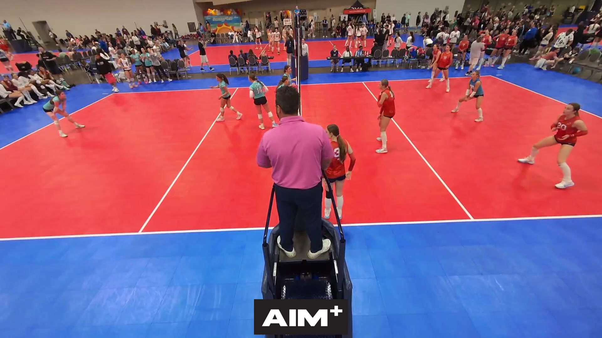 dig