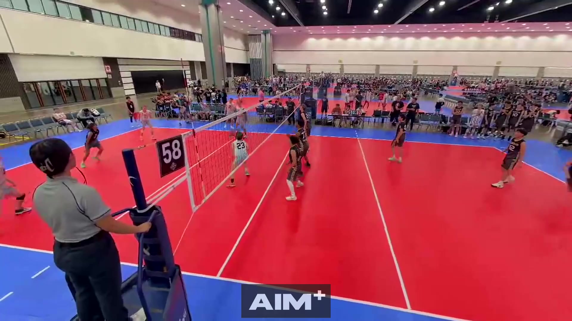 assist