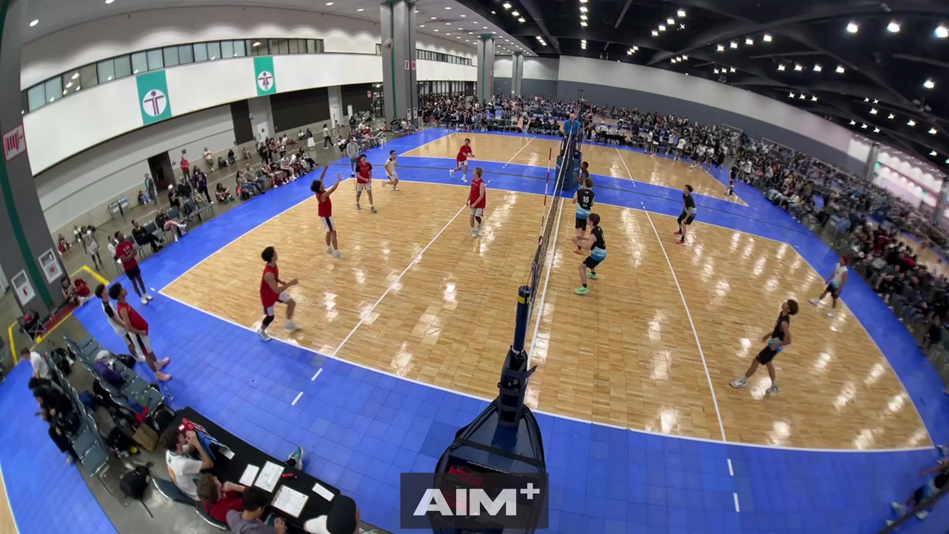 block-assist