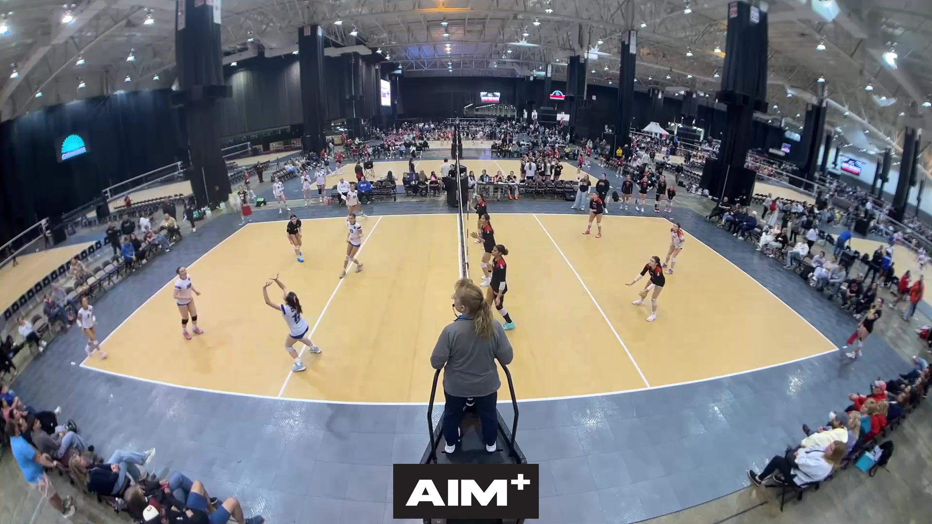 block-assist