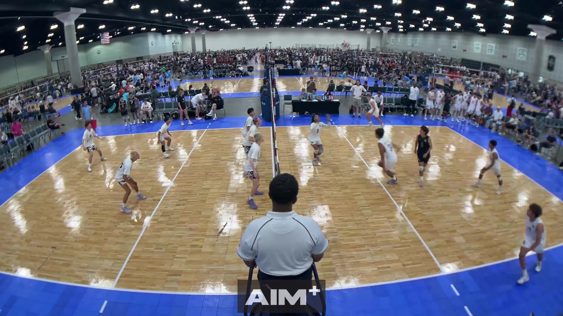 assist