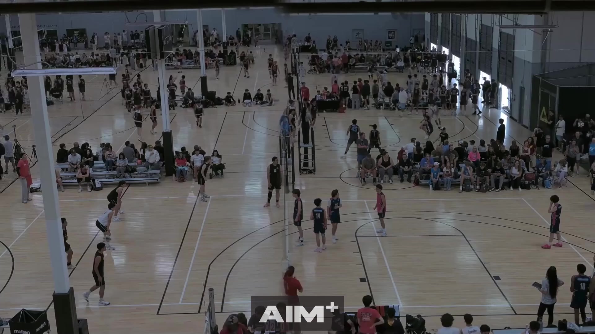 assist