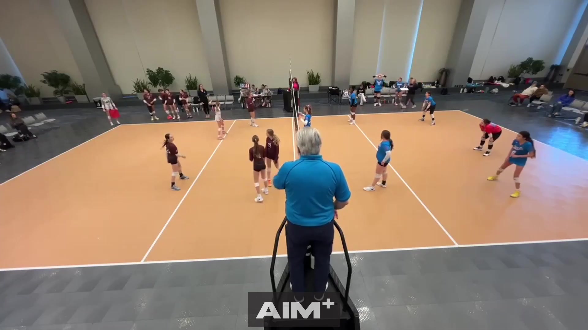 assist