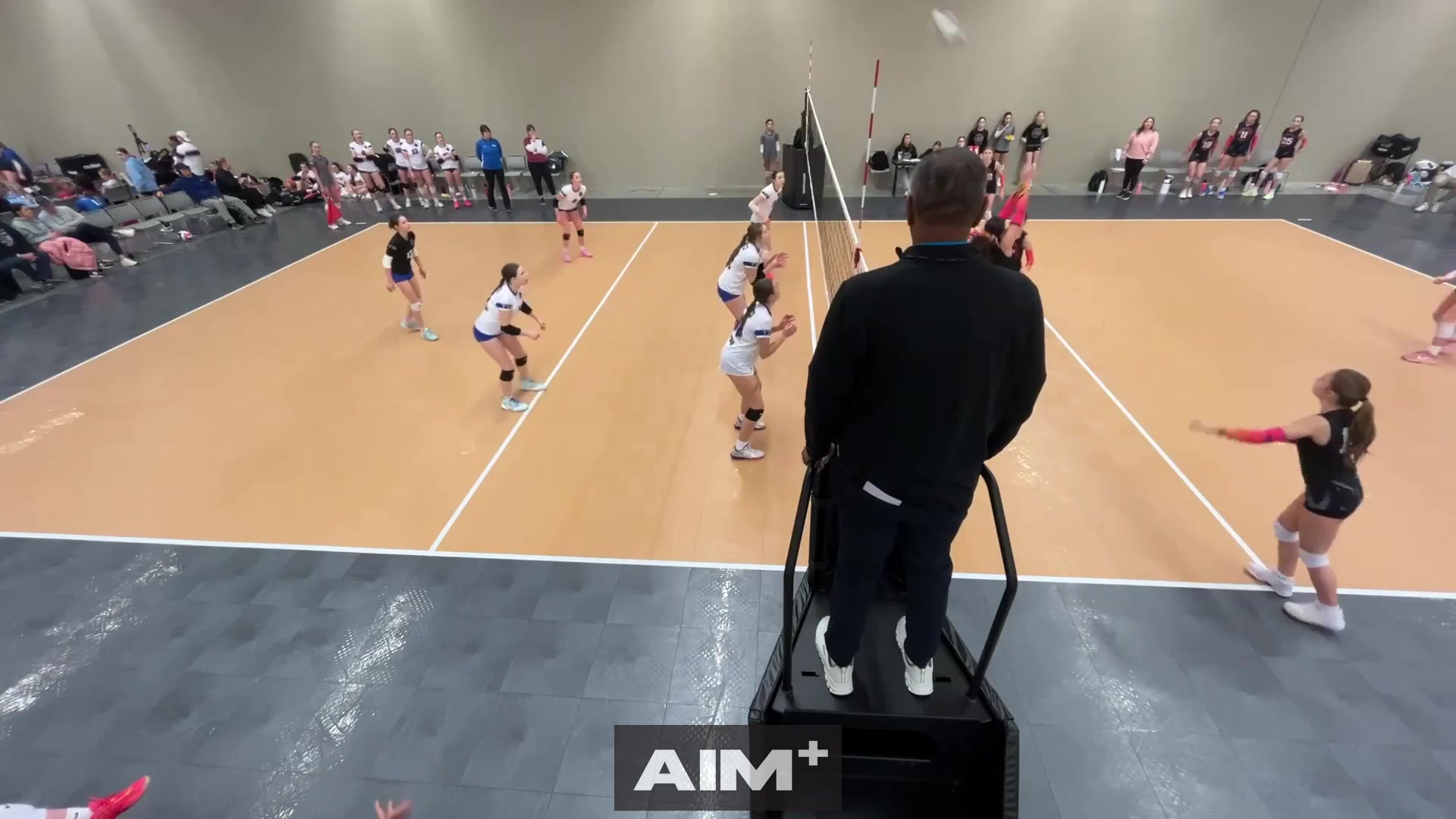 block-assist