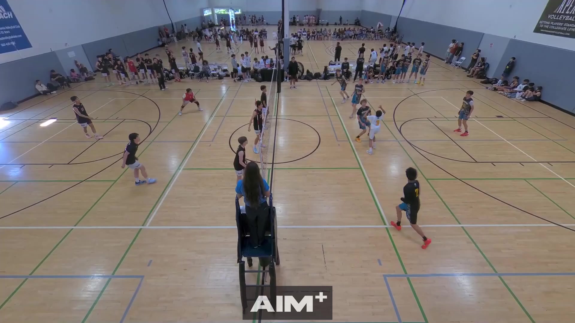 block-assist
